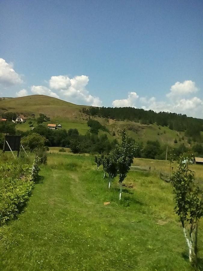 Holiday Home Vila Milka Kremna Luaran gambar