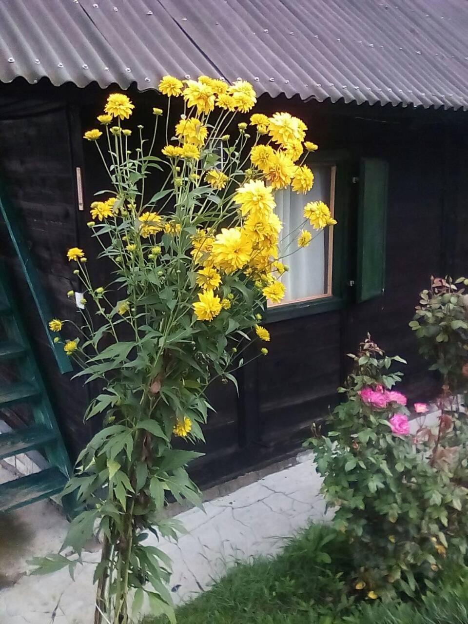 Holiday Home Vila Milka Kremna Luaran gambar